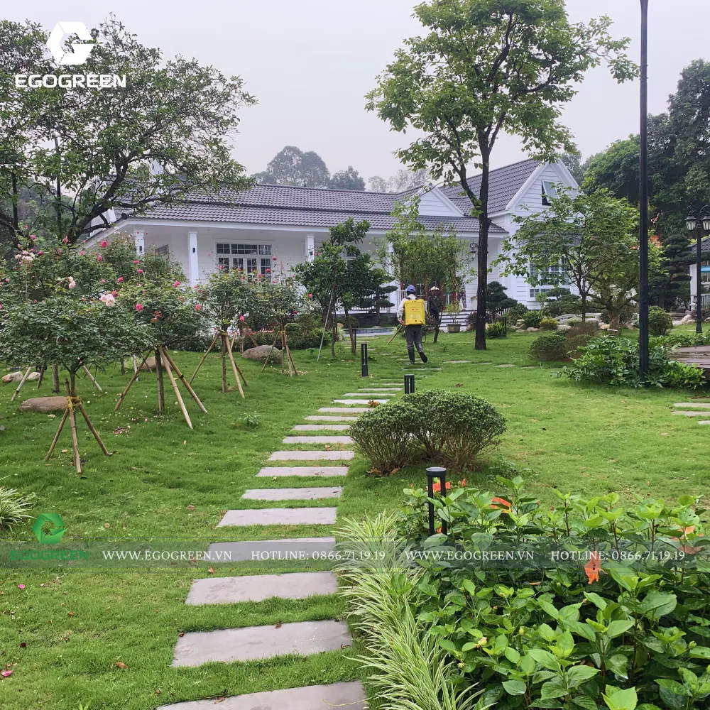 Không gian cây xanh bao phủ lối dạo trong một dự án resort do EGOGREEN thực hiện. 